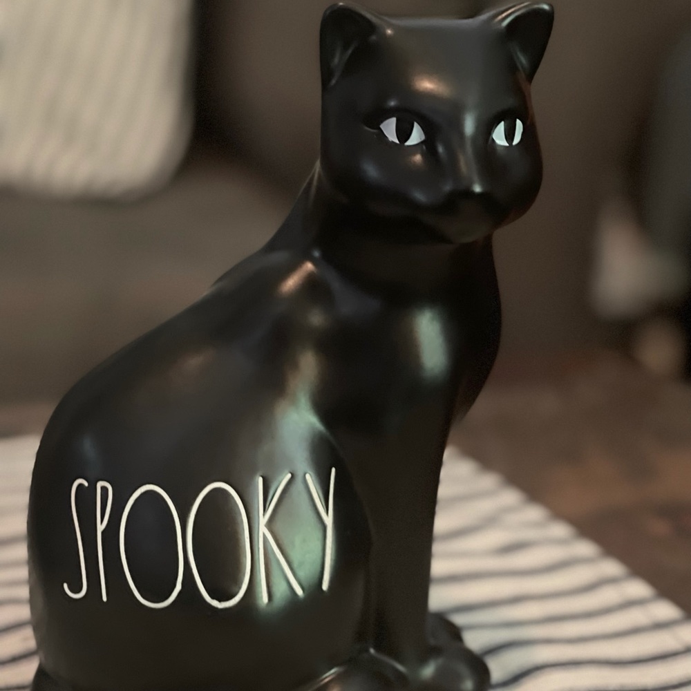 New Rae Dunn spooky cat